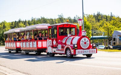 Request for Proposals – Shuttle Service Providers for 2026 Cruise Season